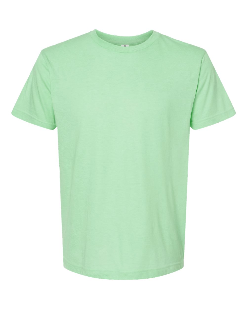 Tultex Unisex Tee (202) in Heather Neo Mint