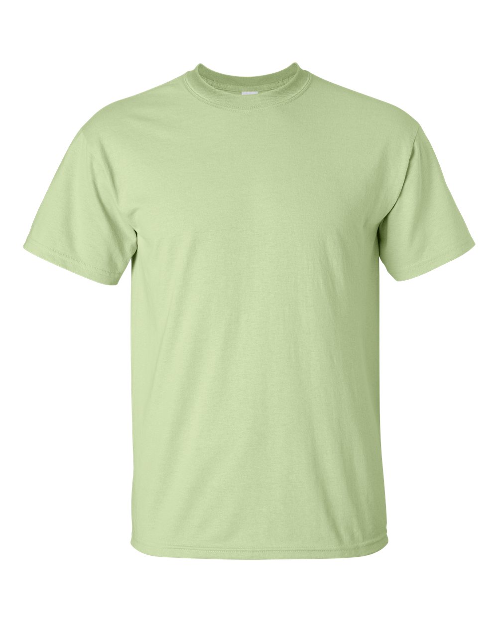 Gildan Ultra Cotton Tee (2000) in Pistachio