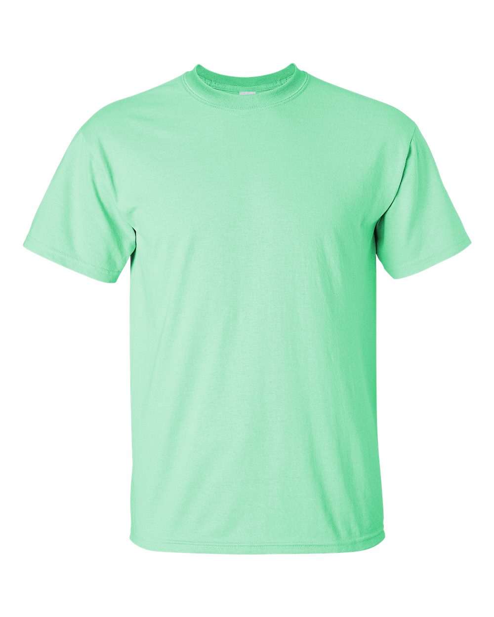 Gildan Ultra Cotton Tee (2000) in Mint Green