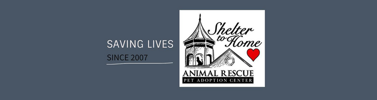 Shelter to Home Animal Rescue